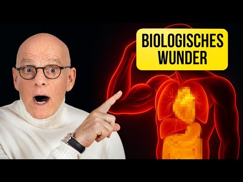 Ihr stärkstes Organ für Selbstheilung und Verjüngung: Ein biologisches Wunder