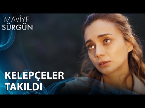 Bir Operasyon Var Bu Gece | Maviye Sürgün