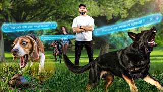 Obligé de faire une partie 2 ( trop de choses à dire) « Pourquoi mon chien » les + tapés sur Google