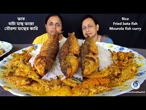 Rice Eating Challenge With Mourola Fish Curry Bata Fish Curry | 2 Sisters Food Eating Competition