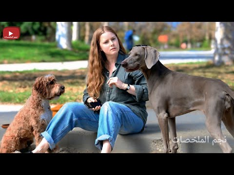 بنت من حزنها وزعلها بتتحول كلب كل يوم بالليل فبتحاول تلاقى طريقة عشان ترجع طبيعية | ملخص فيلم Night