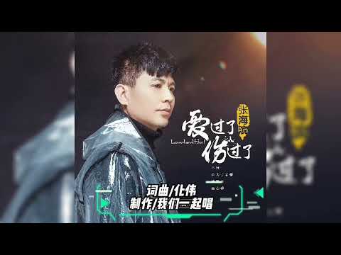 张海滨   爱过了也伤过了KTV