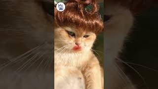 Pets and Animals memes part 4 #viral #dog #funny #shorts