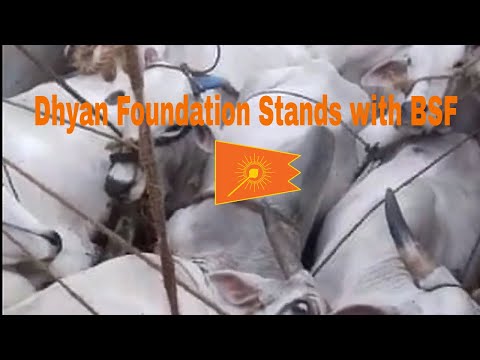Dhyan Foundation