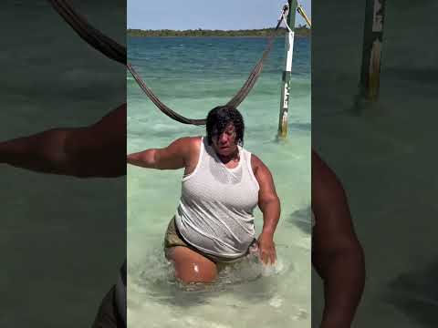 O peixe chegou