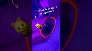 Buy a cat tree they said… one year later. #newyearnewbeginnings #siamesecats