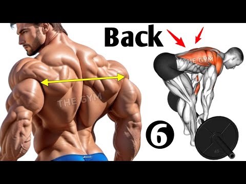 6 big back exercises ( fastest grow your back )