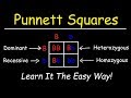 Exploring Punnett Squares and Genetic Probability