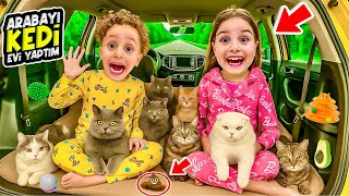 KUZEY ELİF ARABAYI KEDİ EVİ YAPTI !! ANNEMDEN BABAMDAN KAÇIŞ !! EYVAH KEDİ KAKA YAPTI !!