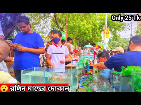 Aquarium Price In Bangladesh🐠Aquarium Fish Price In Bangladesh 2025😱 Aquarium Fish Price In khulna