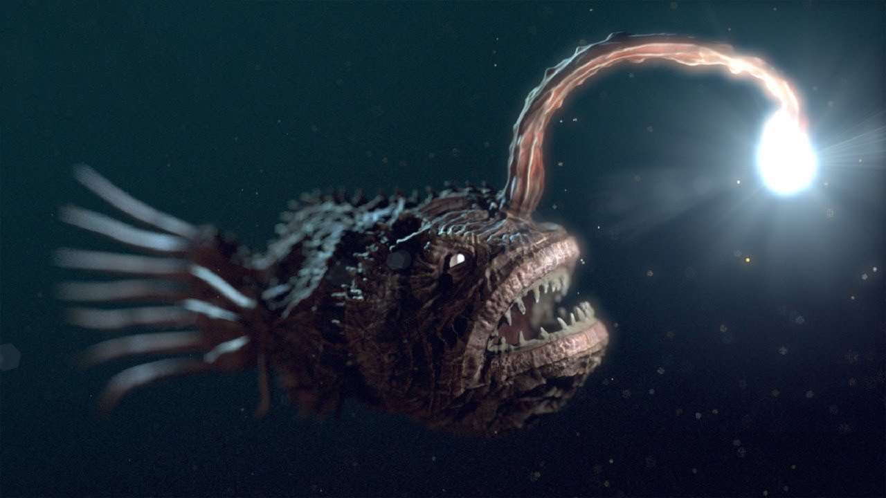 10 Deep Sea Creatures that Stumped the Experts…