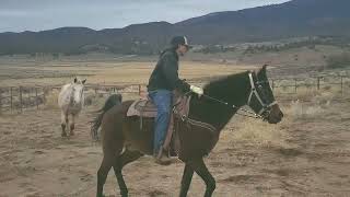 Noah Riding Casey