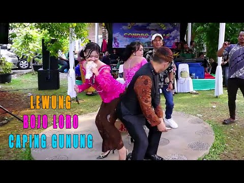 LEWUNG || BOJO LORO || CAPING GUNUNG CAMPURSARI CONDRO LARAS