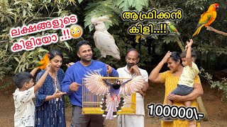 💥ലക്ഷങ്ങളുടെ ആഫ്രിക്കൻ കിളിയെയും കൊണ്ട് വീട്ടിൽ ചെന്നപ്പോൾ..!!😰| Surprising Family with new Pet Bird