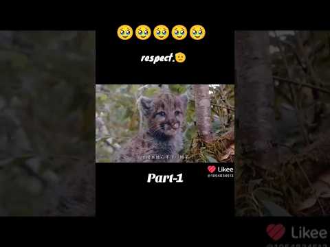 #Part 1😭🥹💔