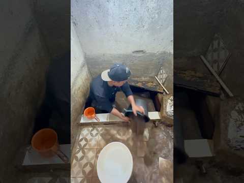 panen ikan bawal yang dulu di taro di bak rumah si ncoy, udah pada gd