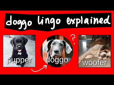 video placeholder