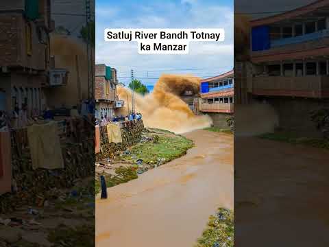 Satluj river ka band tot gaya village doob gaya#satlujriver #flood #flashflood #flooding #swatflood