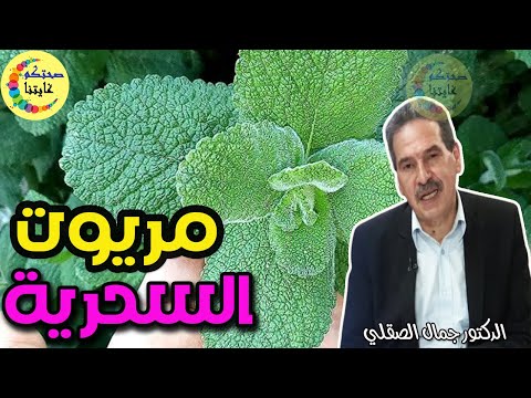 الصيدلية الخضراء البرية عشبة  مريوت مع شروط استعمالها  -  الدكتور جمال الصقلي  -