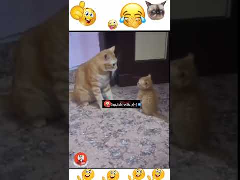 મામા ભાણેજ પાર્ટ :17