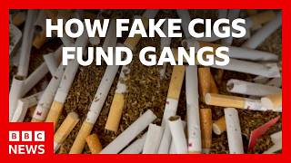 YouTube video thumbnail: The Dark Truth Behind Your Cheap Cigarettes - Behind The Investigation