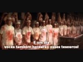 Understanding the Voice of Argentina