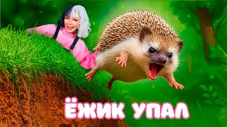 ЕЖИК УПАЛ в ЯМУ на ПРОГУЛКЕ 😱! Как НЕ надо ГУЛЯТЬ с Домашним ЕЖИКОМ