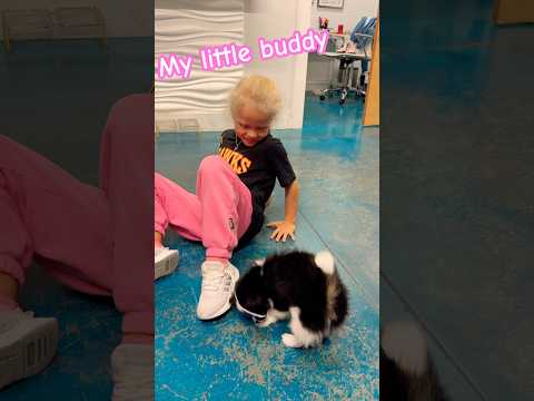 Do You Have a Little Buddy? ๐พโค๏ธ #trending #youtubeshorts #viralvideo #shorts #dog #cat