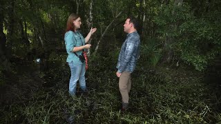 Florida Wildlife Corridor gains 1000+ acre ranch