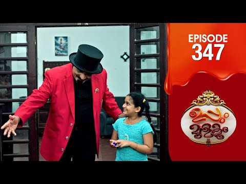 Uppum Mulakum 3 | Flowers | EP # 347