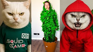 CRAZY CAT VS TREE MAN PRANK 😂🌲