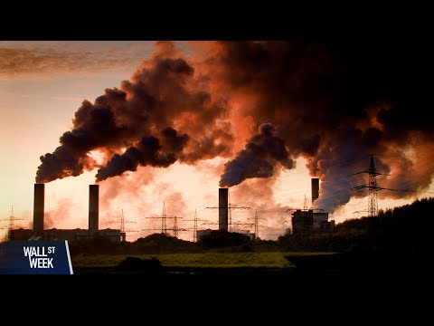 YouTube video thumbnail: Investing in Carbon Markets As Climate Policy Shifts