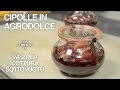 Cipolle in agrodolce con Vasi per cottura sottovuoto - Decorfood Italy