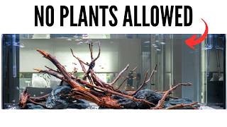 Epic 400L Hardscape Only Aquarium: Cinematic Aquascape Tutorial