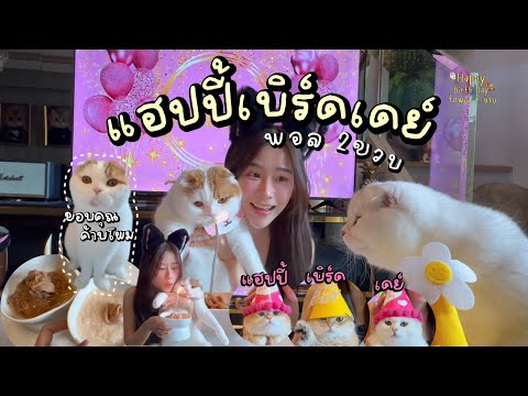 เป็นวันพิเศษและวุ่นวายมาก เซอร์ไพรส์วันเกิดพี่พอลครบ 2ขวบค้าบ🎂