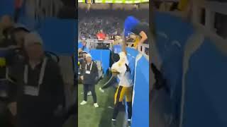 Dk Metcalf punching a lions fan #nfl #detroitlions #punch #fan#pittsburghsteelers