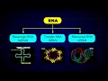 RNA Types and Functions in Cells