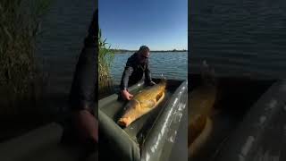 Frank Schmidt mit Big Fish🐟. Was für ein Fang! #karpfenangeln #carpfishing #karpfen #carplife #carp