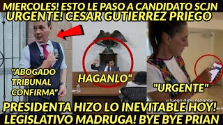MIERCOLES FRENETICO! TRIBUNAL LO HACE ESTO LE PASO A CANDIDATO SUPREMA CORTE LEGISLATIVO MADRUGA HOY
