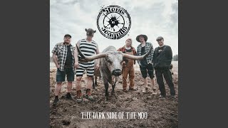 Too Much Love Will Kill You