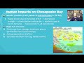 Ecosystem Services and Water Pollution