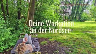 Workation an der Nordsee – Baumhaushotel Otterndorf