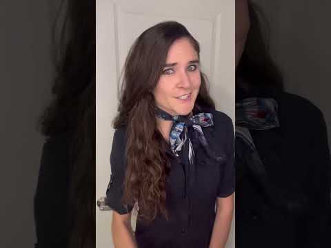flight attendant and pilot secrets (part 4)
