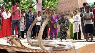 इसे कहते है असली नाग नागिन, जब इस घर में एक साथ छिपे हुए थे फिर कैसे क्या हुआ। Dangerous Rescue 🐍😱