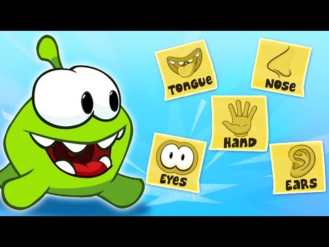 Los órganos sensoriales de Om Nom | Videos divertidos de aprendizaje para niños