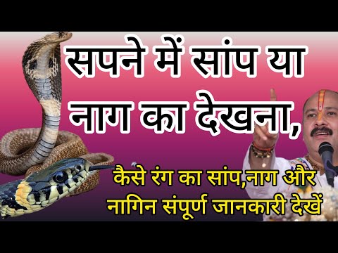 सपने में सांप देखना: क्या है इसका मतलब? शुभ या अशुभ?