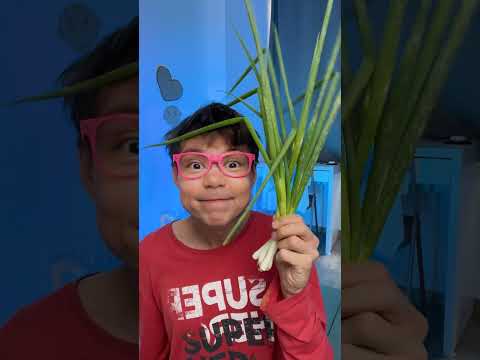 Taste & Touch! 😋🖐 Learn Food Textures #learn #kids