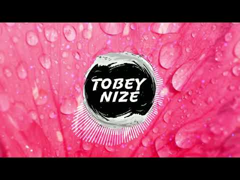 Bosse x LEA – Nur noch ein Lied (TOBEY NIZE REMIX)