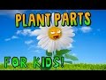 Exploring Plant Structures for Kids