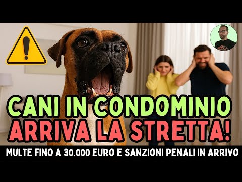 MIGLIAIA DI PROPRIETARI NEI GUAI: TENERE UN CANE IN CASA OGGI PUÒ PORTARE A MULTE E SANZIONI PENALI!